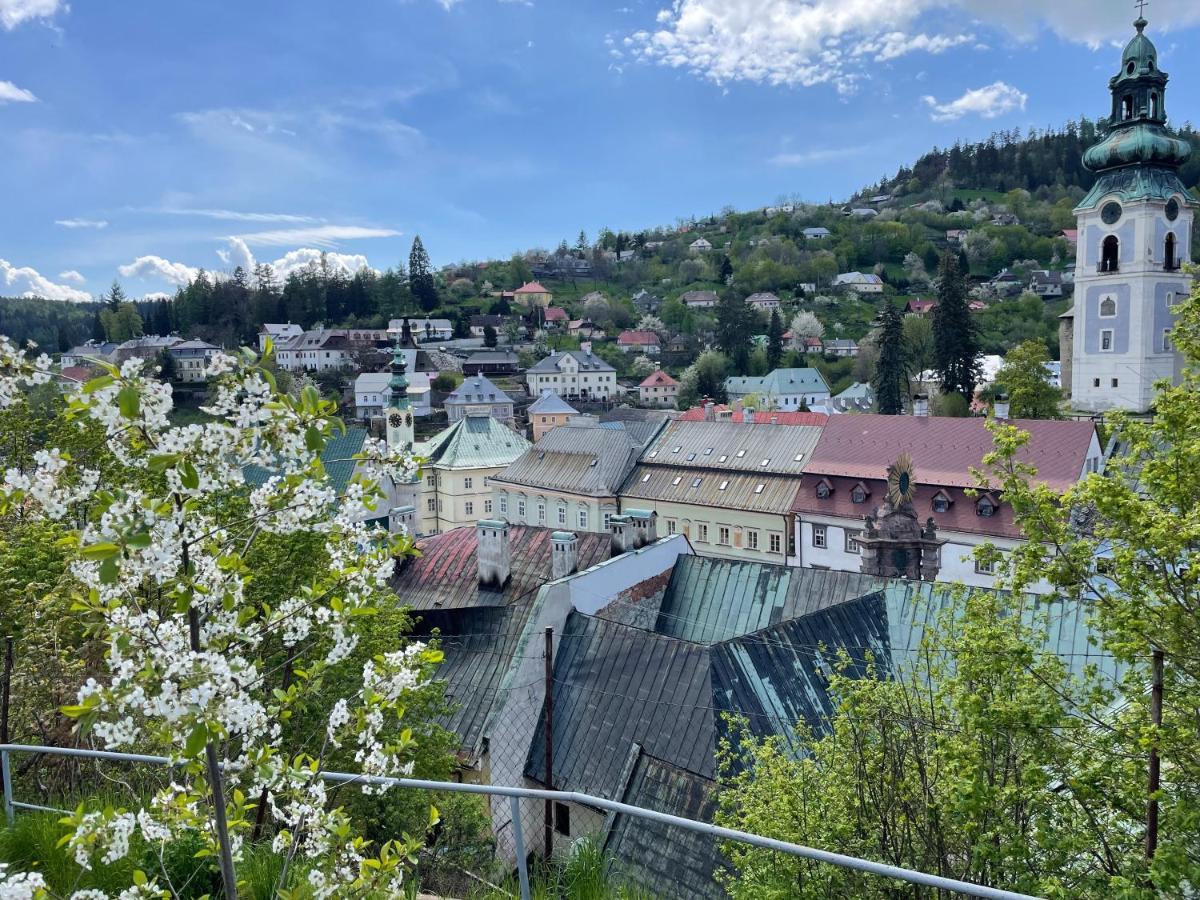 Cyprian Apartment Banská Štiavnica Екстериор снимка